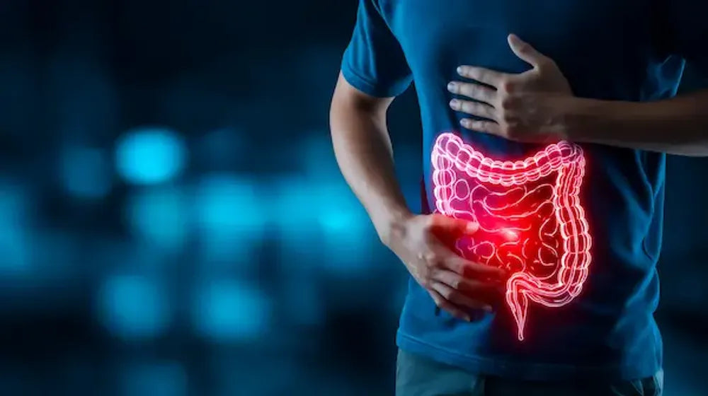 7 Warning Signs Your Gut Is Crying for Help (And What to Do About It)